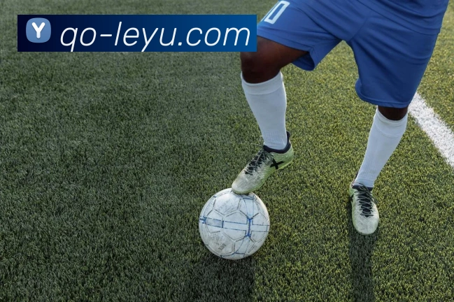 乐鱼体育服务体系