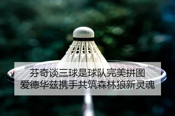 芬奇谈三球是球队完美拼图 爱德华兹携手共筑森林狼新灵魂（leyu）